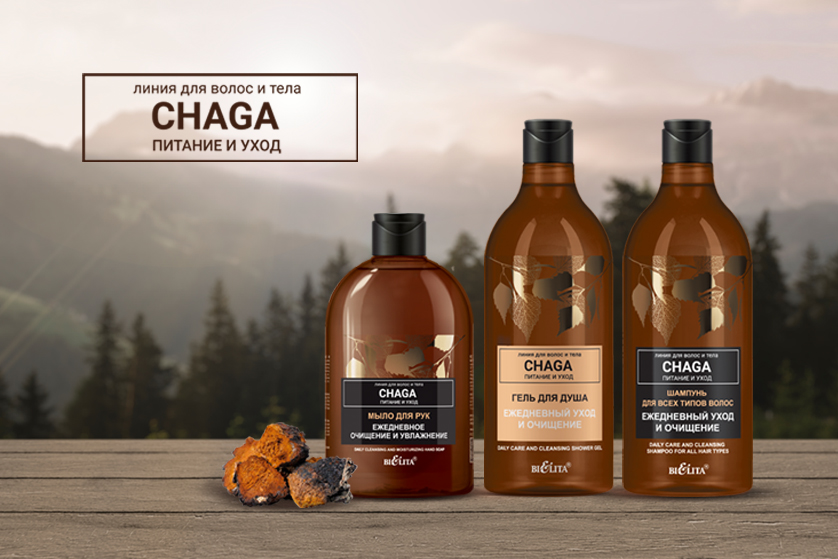 Chaga. Питание и уход